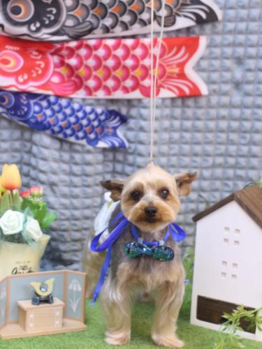 20230517ノアくん